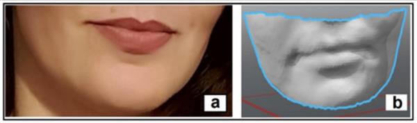 參與者的嘴唇（左）和通過掃描呈現(xiàn)的數(shù)字圖像模型